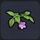 ふじの花・天